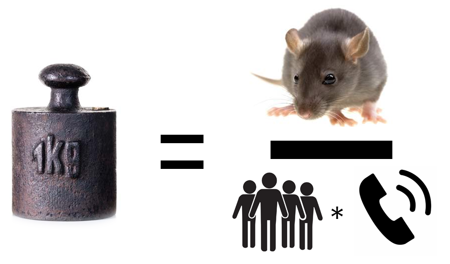 Rat weight equation Image
